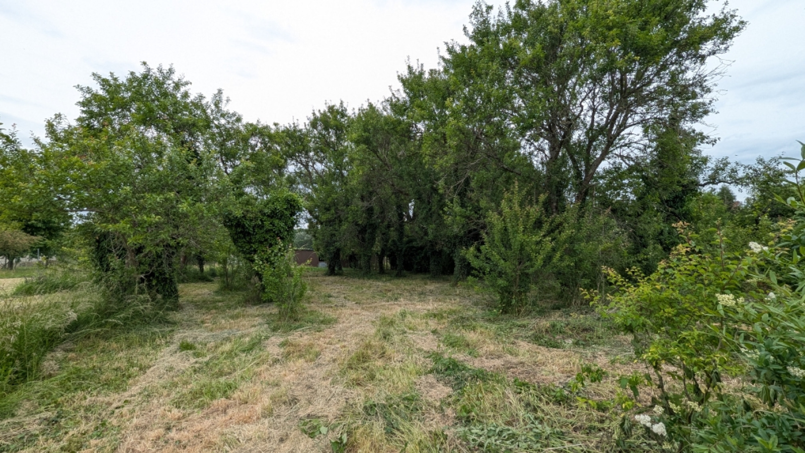 Image_, Maison, Paroy-sur-Tholon, ref :5853