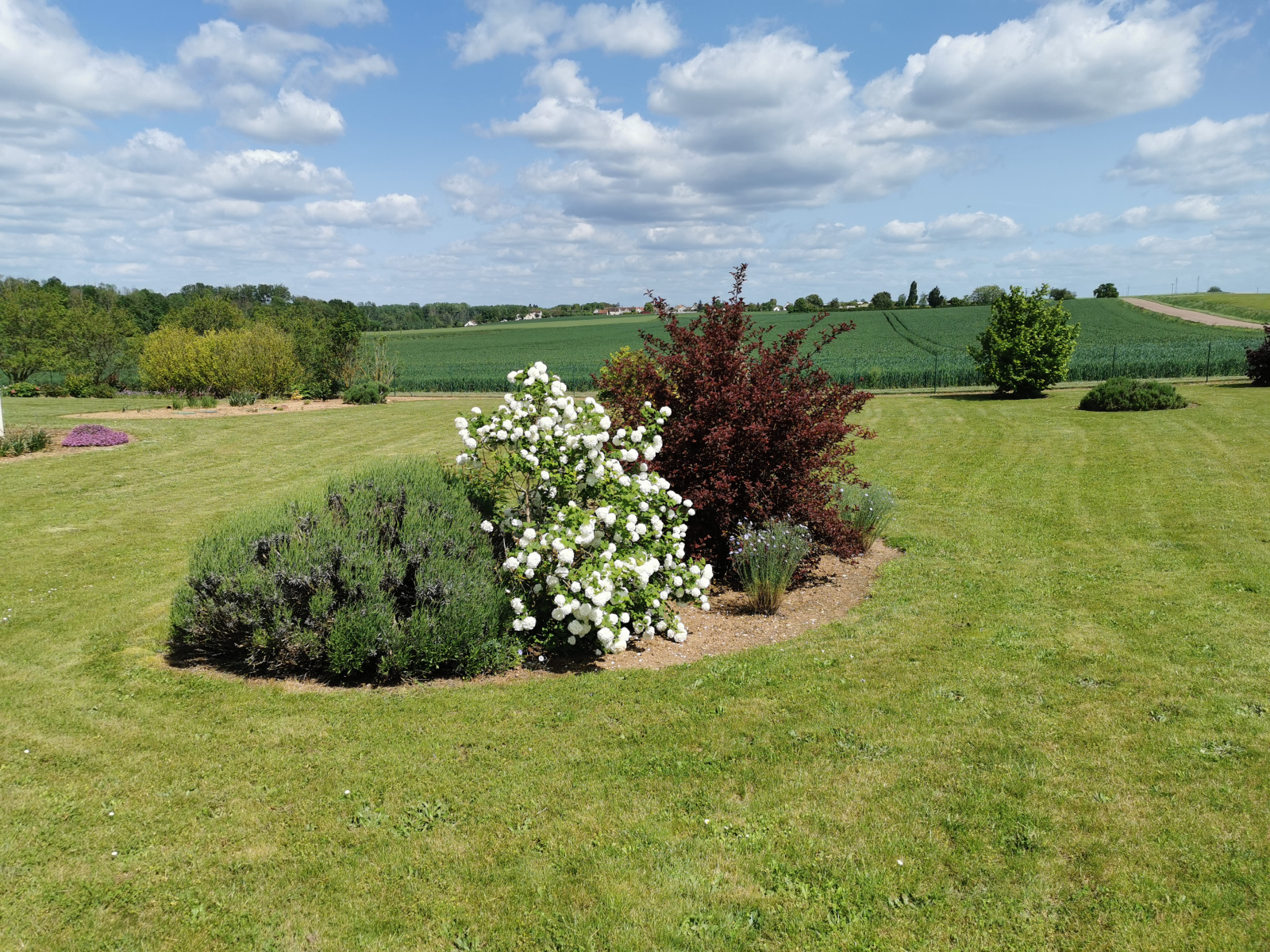 Image_, Maison, Joigny, ref :5729